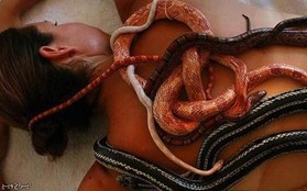 Phương pháp chữa bệnh khiến nhiều người “khóc thét” vì sợ hãi: Dùng đỉa, rắn để hồi phục sức khoẻ bệnh nhân