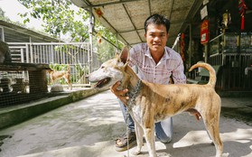 Gặp chàng trai từ phụ bếp trở thành “triệu phú” sở hữu trang trại nuôi chó Phú Quốc trị giá hàng tỷ đồng