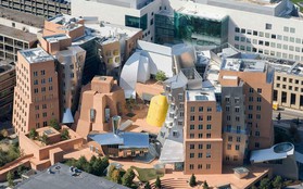 Ngắm kiến trúc độc đáo của MIT - trường ĐH được xếp hạng tốt nhất thế giới 7 năm liên tiếp