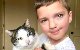 Cùng màu mắt, cùng bị tật ở miệng, số phận đã an bài cho cậu bé đáng thương và chú mèo hoang trở thành tri kỷ