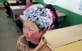 Cậu bé "tóc đóng băng" nổi tiếng Trung Quốc bị buộc thôi học chỉ sau một tuần đến trường mới