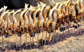 Đến Nhật Bản vào mùa hè nhất định phải thử qua món cá ngon khó cưỡng này