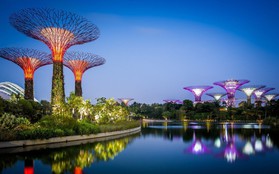 Singapore – Đi càng nhiều, giá càng yêu