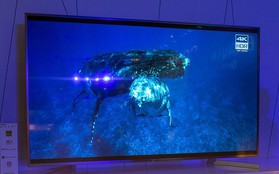 Sony công bố thế hệ TV OLED và 4K HDR thế hệ mới