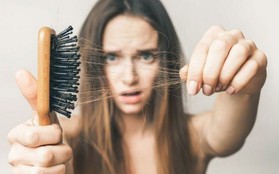 Sử dụng máy tạo kiểu thường xuyên có thể khiến mái tóc gặp phải những vấn đề nghiêm trọng này