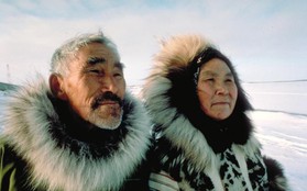 Câu chuyện về những người già bị để mặc đến chết ở Eskimo: Bị ném xuống biển, chôn sống hay bỏ rơi ngoài trời giá lạnh