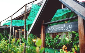 Homestay, Bed & Breakfast, Hostel: Đi du lịch nhiều nhưng bạn đã hiểu hết các khái niệm này chưa?