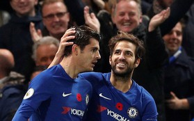 Fabregas, Morata nhận cú sốc bị loại khỏi World Cup 2018