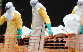 Congo ghi nhận 26 ca tử vong do Ebola, cảnh báo mức nguy hiểm rất cao