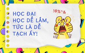 Đôi cái "đừng" gửi những ai sắp thi đại học: Học đại học dễ lắm, tức là dễ tạch ấy!