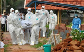 Ấn Độ: Virus Nipah lây lan nhanh khiến 13 người tử vong, có nguy cơ thành đại dịch