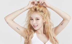 HOT: HyunA, DIA, DJ Soda và dàn idol nhà Cube sẽ đổ bộ TP. HCM vào tháng 9?