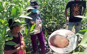 Vụ bé sơ sinh nghi bị chôn sống ở Bình Thuận: Một người phụ nữ xưng là mẹ, thừa nhận chôn con ở sau nhà
