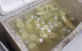 Phát hiện hàng trăm chai sữa bắp không đảm bảo vệ sinh sắp được bán ra thị trường ở Đà Nẵng