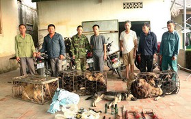 Hà Tĩnh: Bắt giữ nhóm đối tượng trong đường dây trộm chó xuyên tỉnh