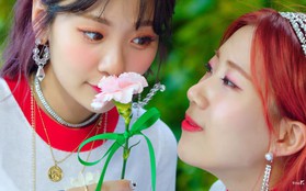 Phát hành hơn 2 tuần, Bolbbalgan4 vẫn chặn đứng mọi đường "lên đỉnh" của idolgroup Kpop