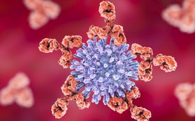 Chỉ còn 1 năm nữa, vaccine chống HIV sẽ chính thức được thử nghiệm trên người