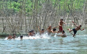 Nguy hiểm rình rập bên những “chú cá nhỏ”