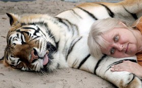 Vì sao dân Mỹ thích nuôi hổ làm... thú cưng?