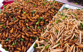 Ghé thăm Lào nhớ đừng bỏ qua những món ăn làm từ côn trùng trông có vẻ kinh dị nhưng cực hút khách du lịch