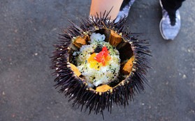 Xem cách người Mỹ "hô biến" nhum biển đầy gai thành một tô sushi hấp dẫn thế này đây
