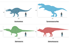 Jurassic World: Đây là kích cỡ thực của các loài khủng long nếu so với con người