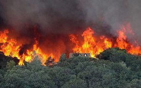 Hàng nghìn người phải sơ tán do cháy rừng ở California, Mỹ