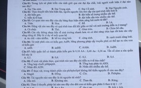 Đề thi môn Sinh học dài và khó! Thí sinh khoanh "bừa" vì không đủ thời gian làm bài!