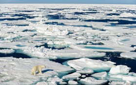 Giới khoa học cảnh báo các di chỉ khảo cổ ở Bắc Cực đang chìm dần