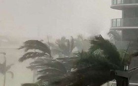 Mưa bão gây thiệt hại nghiêm trọng tại Cuba