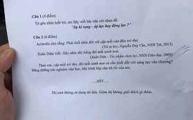 Đề thi Ngữ Văn hệ 10 chuyên hỏi về sự kỳ vọng của cha mẹ là áp lực hay động lực của con cái