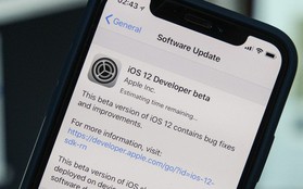 Hướng dẫn tải về và cài đặt iOS 12 Beta
