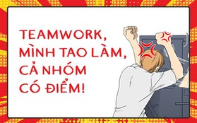 Chuyện teamwork nói mãi không ai chịu hiểu: Mình tao làm, cả nhóm có điểm là sao?