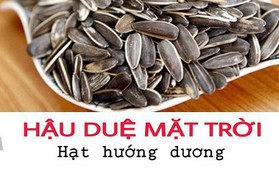 Cẩm nang gọi món cho "sang mồm": từ hôm nay, hãy gọi "hạt hướng dương" là "hậu duệ mặt trời"