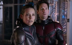 Đạo diễn “Ant-Man”: Siêu anh hùng Marvel không có nhiệm vụ phải cứu thế giới!