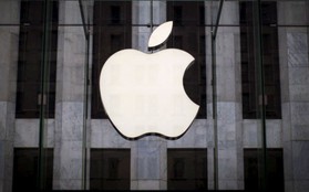 Nguồn gốc thú vị về tên gọi Apple: Tại sao chọn "táo" mà không phải "cam", "chuối", xoài"...?