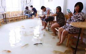 Chủ quán cafe Sài Gòn cho khách cởi giày, ngâm chân dưới hồ cá: "Có nội quy cho khách, chúng tôi còn cử 8 nhân viên túc trực 24/24 theo dõi cá"