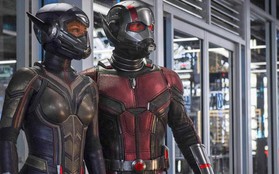 Nàng Ong chàng Kiến "Ant-Man and the Wasp" tiếp tục bành trướng thế lực ở phòng vé Hàn