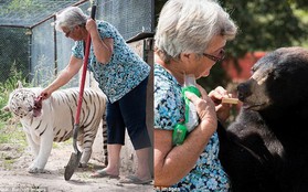 Về hưu rảnh rỗi, cụ bà 62 tuổi nhận nuôi 2 con gấu và 1 con hổ cho vui cửa vui nhà