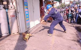 Sau dẹp lấn chiếm vỉa hè, ông Đoàn Ngọc Hải muốn bắt chó thả rông ở trung tâm Sài Gòn