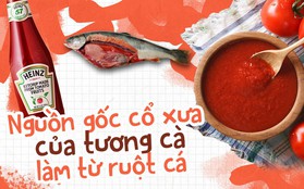 Không phải cà chua, ruột cá mới là nguyên liệu ban đầu của ketchup