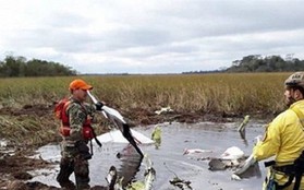 Tìm thấy máy bay chở Bộ trưởng Paraguay mất tích, nhiều khả năng không ai sống sót