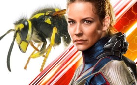 "Chị Ong Nâu" của "Ant-Man 2" oan ức chia sẻ vừa bị chính... ong thật đốt