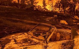 Cháy rừng nghiêm trọng ở Mỹ làm 5 người chết