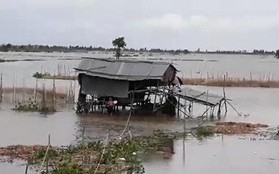 Miền Tây bắt đầu chống chọi với nước lũ từ sự cố vỡ đập ở Lào