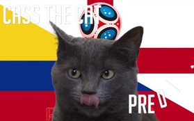 Dự đoán kết quả tỉ số trận Colombia vs Anh hôm nay của "nhà tiên tri" mèo Cass