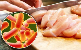 Tìm hiểu về Salmonella - hung thủ gây chứng ngộ độc kinh khủng nhất