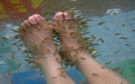 Chăm sóc chân bằng cách sử dụng cá massage, cô gái trẻ bị rụng sạch cả móng