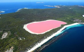 Hồ màu hồng lạ lùng giữa vùng đảo nước Úc: Điều gì tạo nên màu sắc thú vị này?