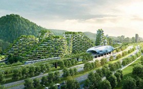 Trung Quốc sẽ xây dựng hàng trăm "thành phố rừng" vào 2025